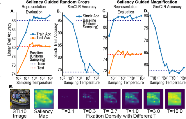 Figure 3 for On the use of Cortical Magnification and Saccades as Biological Proxies for Data Augmentation