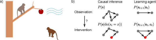 Figure 1 for Towards intervention-centric causal reasoning in learning agents