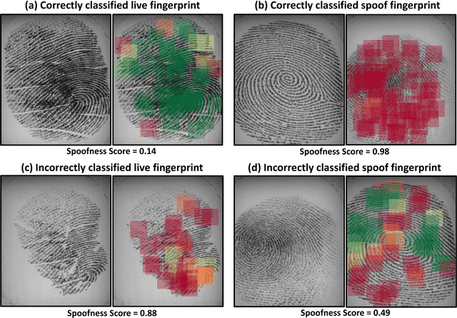 Figure 2 for Fingerprint Spoof Buster