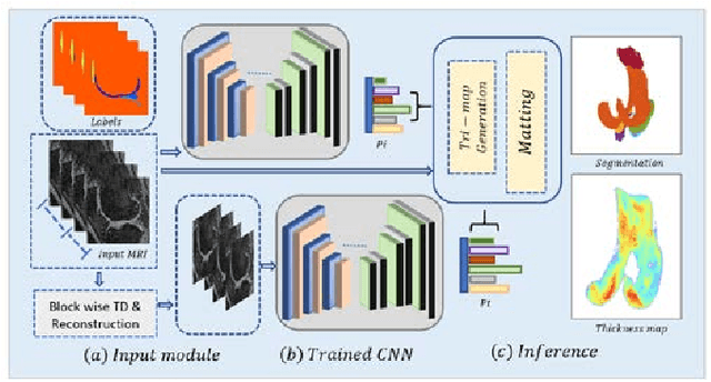 Figure 3 for Multipath CNN with alpha matte inference for knee tissue segmentation from MRI