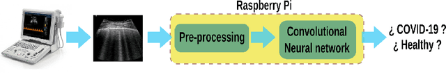 Figure 1 for Detection of COVID-19 Disease using Deep Neural Networks with Ultrasound Imaging