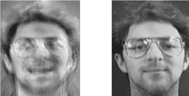 Figure 3 for Privacy in Deep Learning: A Survey