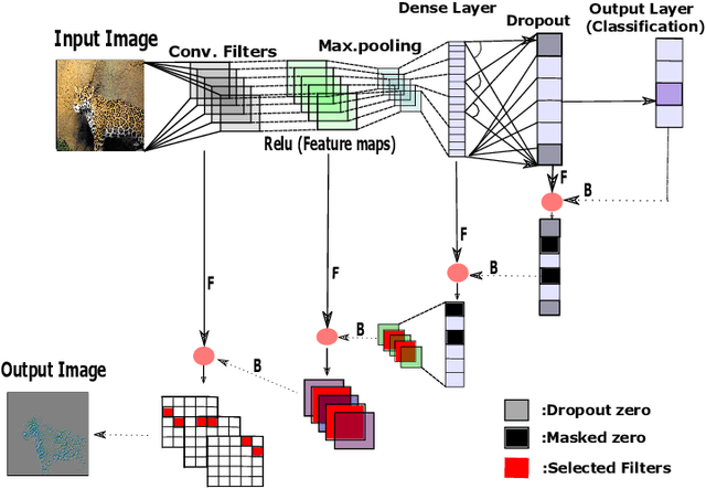 Figure 1 for A Forward-Backward Approach for Visualizing Information Flow in Deep Networks
