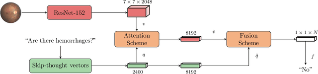 Figure 2 for A Question-Centric Model for Visual Question Answering in Medical Imaging