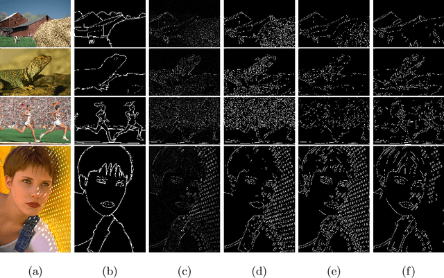 Figure 1 for Contour Integration using Graph-Cut and Non-Classical Receptive Field