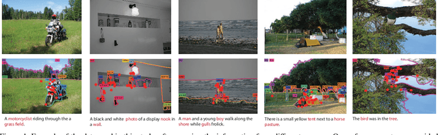 Figure 1 for Paying Attention to Descriptions Generated by Image Captioning Models