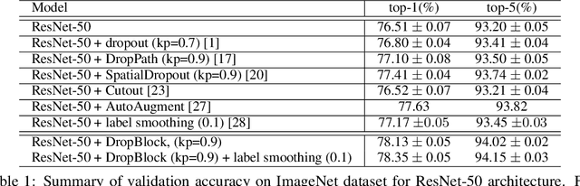 Figure 2 for DropBlock: A regularization method for convolutional networks