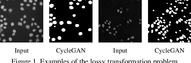 Figure 1 for AD-GAN: End-to-end Unsupervised Nuclei Segmentation with Aligned Disentangling Training