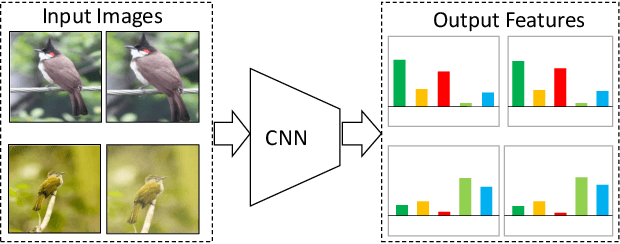 Figure 1 for Unsupervised Embedding Learning via Invariant and Spreading Instance Feature