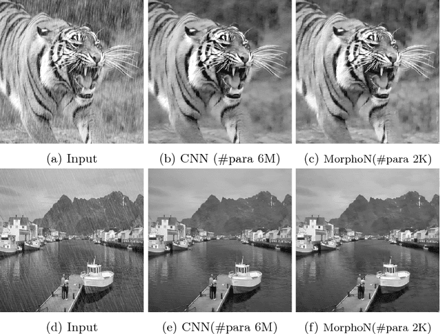 Figure 1 for Morphological Networks for Image De-raining