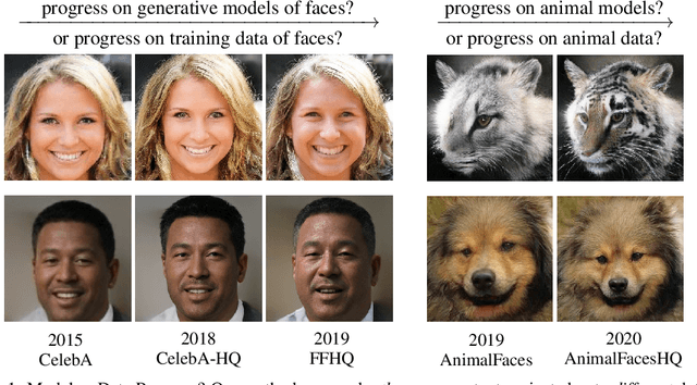 Figure 1 for A Note on Data Biases in Generative Models