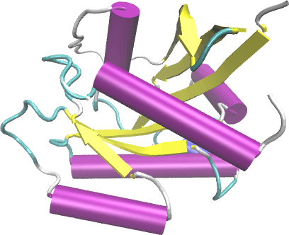 Figure 2 for Capsule Networks for Protein Structure Classification and Prediction