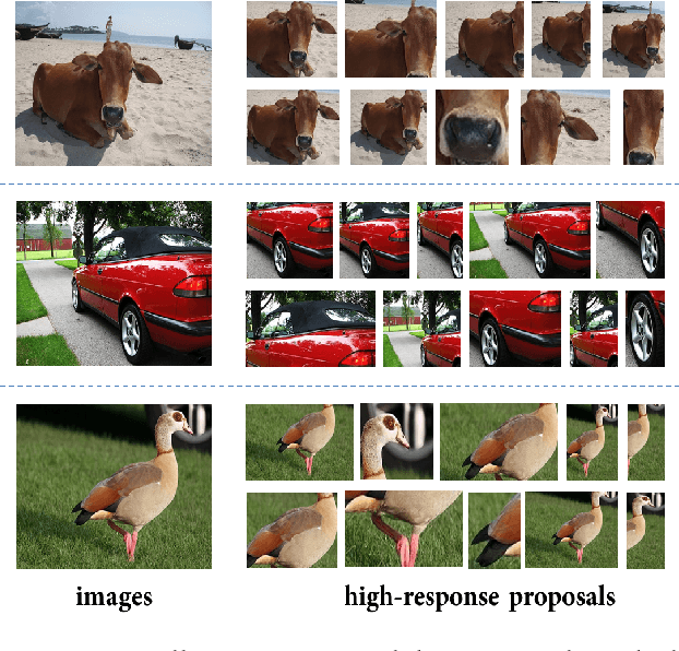 Figure 2 for Deep Self-Taught Learning for Weakly Supervised Object Localization