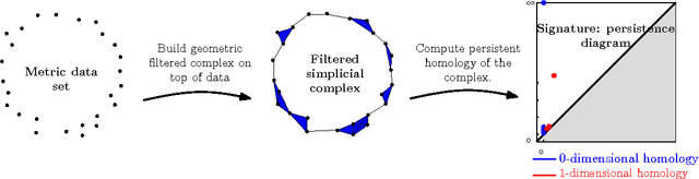 Figure 1 for Optimal rates of convergence for persistence diagrams in Topological Data Analysis