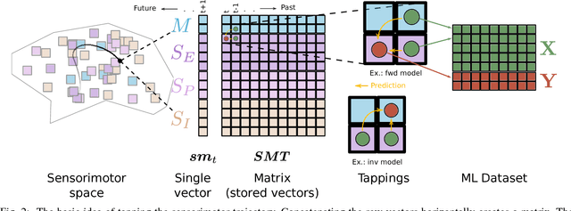 Figure 2 for Tapping the sensorimotor trajectory