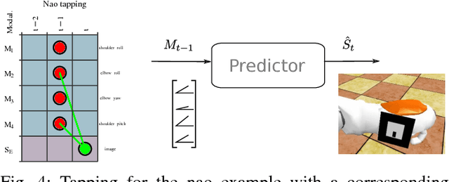 Figure 4 for Tapping the sensorimotor trajectory