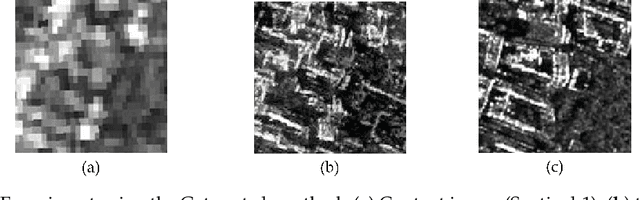 Figure 3 for Dialectical GAN for SAR Image Translation: From Sentinel-1 to TerraSAR-X