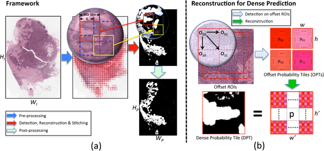 Figure 3 for ScanNet: A Fast and Dense Scanning Framework for Metastatic Breast Cancer Detection from Whole-Slide Images