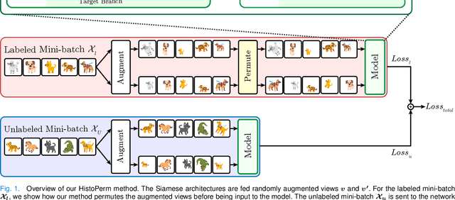 Figure 1 for HistoPerm: A Permutation-Based View Generation Approach for Learning Histopathologic Feature Representations