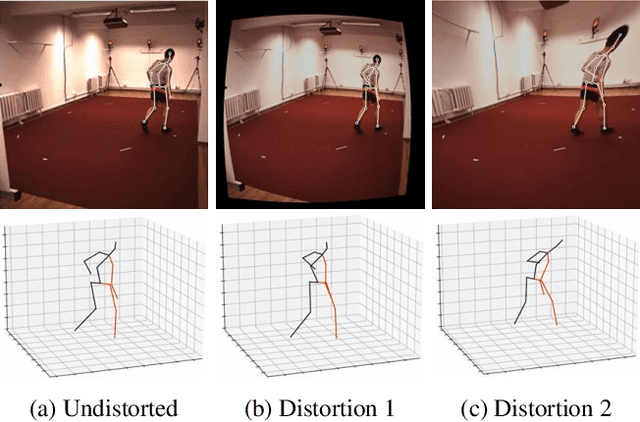 Figure 1 for Camera Distortion-aware 3D Human Pose Estimation in Video with Optimization-based Meta-Learning
