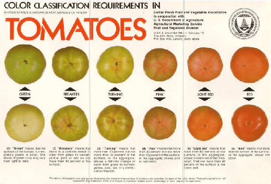 Figure 1 for Neural Network Classifiers for Natural Food Products