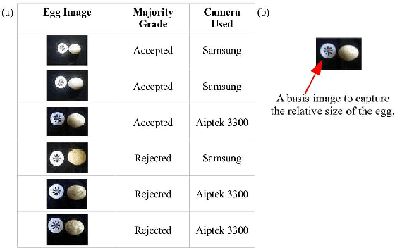 Figure 2 for Neural Network Classifiers for Natural Food Products