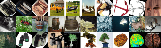 Figure 3 for A Multi-view Dimensionality Reduction Algorithm Based on Smooth Representation Model