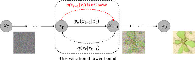 Figure 1 for Deep Data Augmentation for Weed Recognition Enhancement: A Diffusion Probabilistic Model and Transfer Learning Based Approach