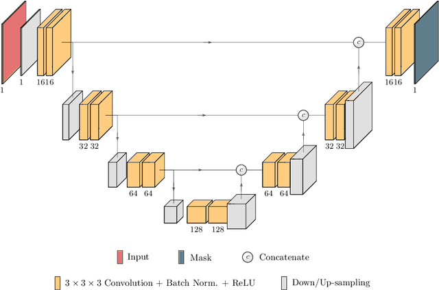 Figure 3 for End-to-End Cascaded U-Nets with a Localization Network for Kidney Tumor Segmentation