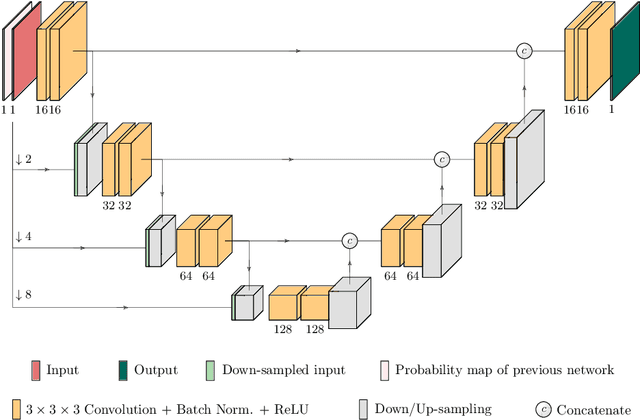 Figure 4 for End-to-End Cascaded U-Nets with a Localization Network for Kidney Tumor Segmentation