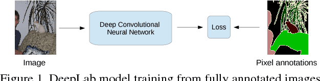 Figure 1 for Weakly- and Semi-Supervised Learning of a DCNN for Semantic Image Segmentation