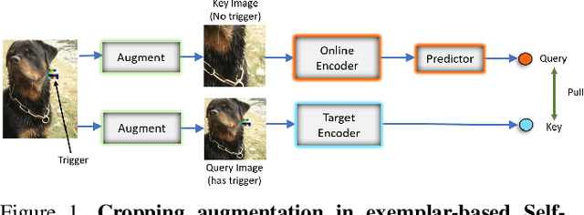 Figure 1 for Backdoor Attacks on Self-Supervised Learning