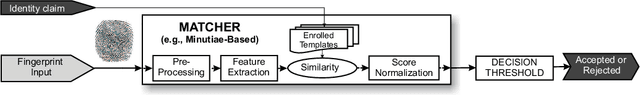 Figure 1 for On the Effects of Image Quality Degradation on Minutiae- and Ridge-Based Automatic Fingerprint Recognition