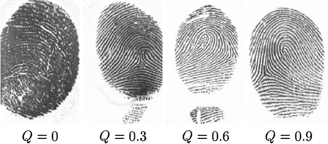 Figure 4 for On the Effects of Image Quality Degradation on Minutiae- and Ridge-Based Automatic Fingerprint Recognition