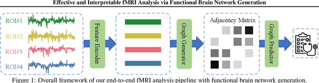 Figure 1 for Effective and Interpretable fMRI Analysis via Functional Brain Network Generation