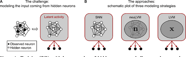 Figure 1 for Mesoscopic modeling of hidden spiking neurons
