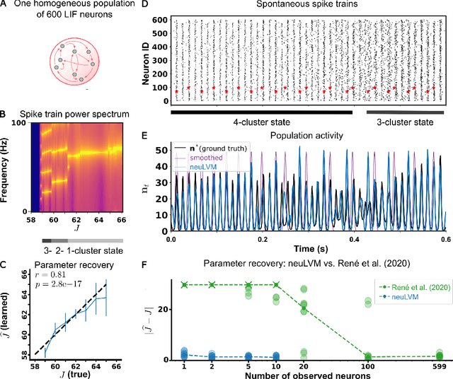 Figure 3 for Mesoscopic modeling of hidden spiking neurons