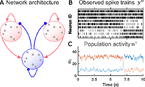 Figure 4 for Mesoscopic modeling of hidden spiking neurons