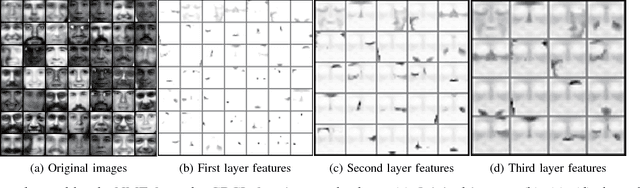 Figure 3 for Learning the Hierarchical Parts of Objects by Deep Non-Smooth Nonnegative Matrix Factorization