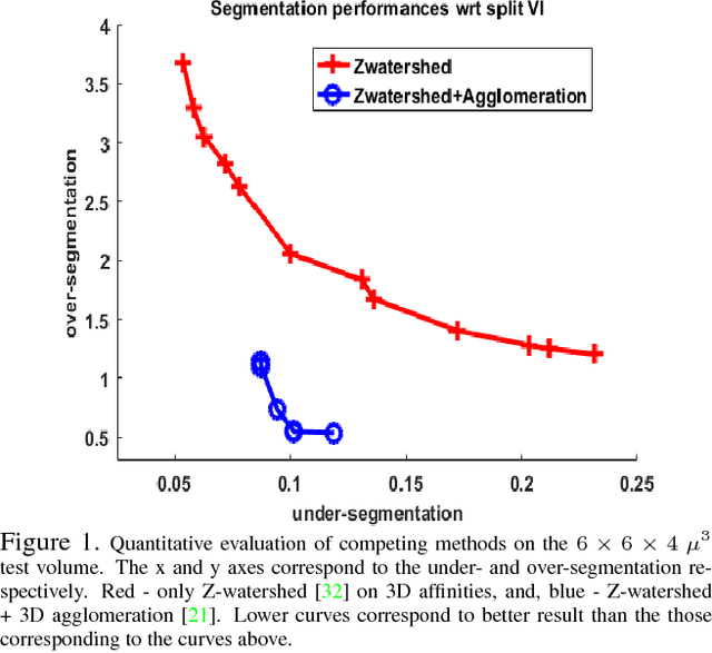 Figure 1 for Anisotropic EM Segmentation by 3D Affinity Learning and Agglomeration
