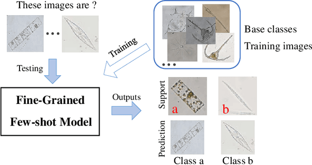 Figure 1 for Few-shot Learning for Domain-specfic Fine-grained Image Classfication