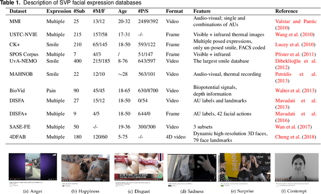 Figure 1 for Detection of Genuine and Posed Facial Expressions of Emotion: A Review