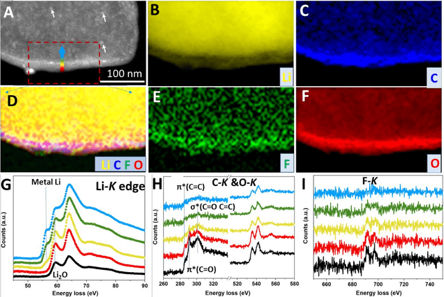 Figure 2 for Conformal Three-Dimensional Interphase of Li Metal Anode Revealed by Low Dose Cryo-Electron Microscopy