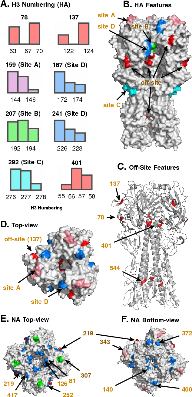 Figure 4 for Algorithmic Bio-surveillance For Precise Spatio-temporal Prediction of Zoonotic Emergence