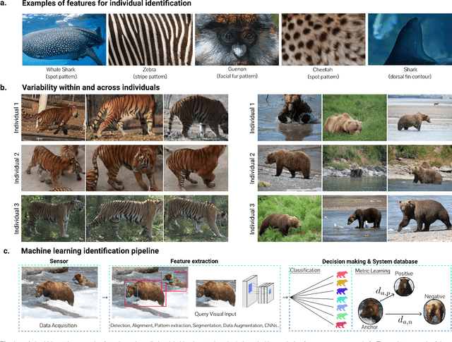 Figure 1 for Perspectives on individual animal identification from biology and computer vision