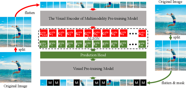 Figure 3 for MVP: Multimodality-guided Visual Pre-training