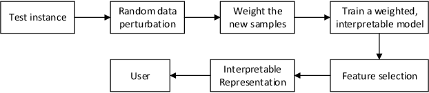 Figure 1 for DLIME: A Deterministic Local Interpretable Model-Agnostic Explanations Approach for Computer-Aided Diagnosis Systems