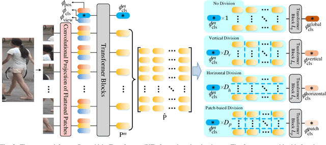 Figure 2 for Multi-direction and Multi-scale Pyramid in Transformer for Video-based Pedestrian Retrieval