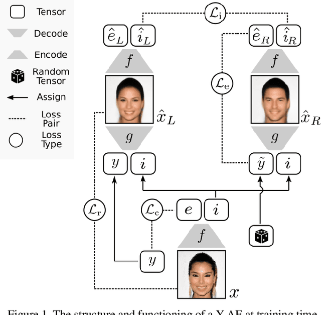 Figure 1 for Y-Autoencoders: disentangling latent representations via sequential-encoding