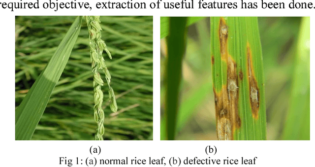 Figure 1 for Fault Area Detection in Leaf Diseases using k-means Clustering
